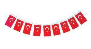 Vatan Poster Bayrak Atatürk 711/712 35x50 Cm