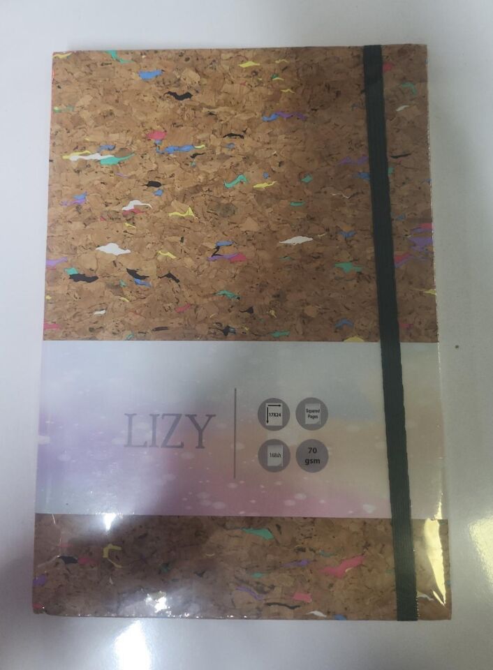 Liz S.deri Mantar Çzg Defter 168yp 17x24 Mnt190ç