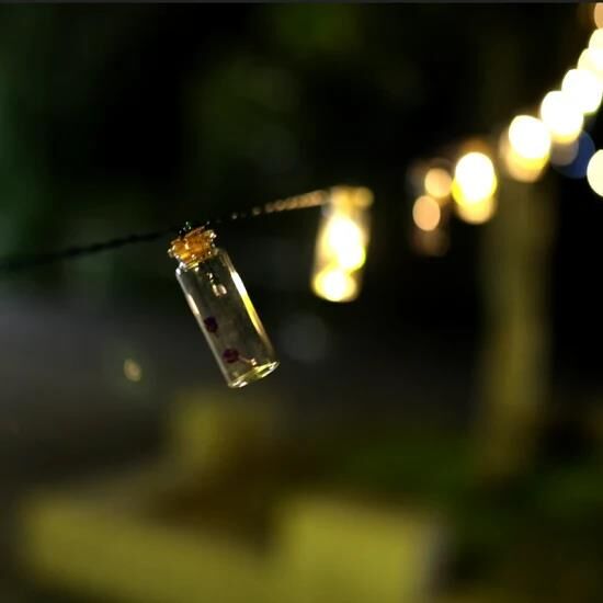 Nedi Işık Pilli Şişeli 10'lu Nedi-6539