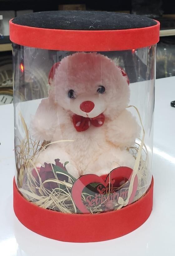 Şekilay Lovely Bear Kutulu Ayıcık 19049