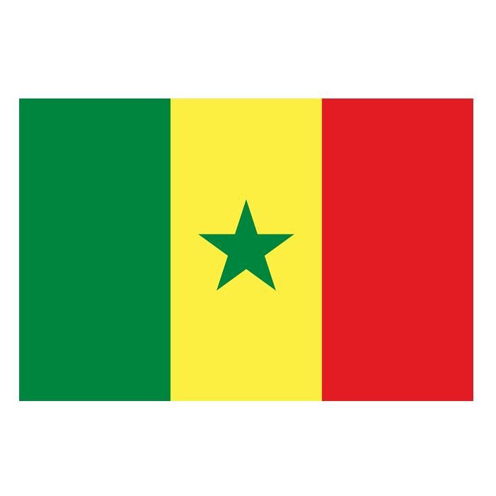 Buket Bayrak Yabancı Ülke 70x105 Seneğal