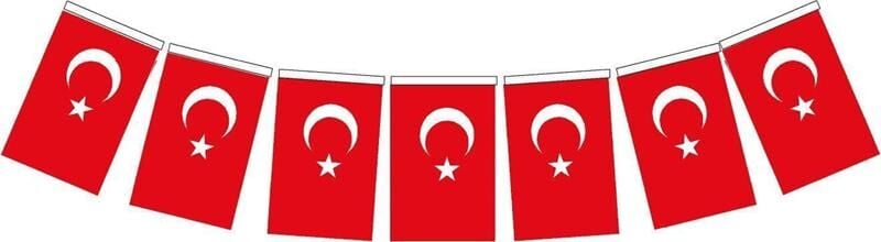 Vatan Bayrak İpli Büyük Türk Vt-809