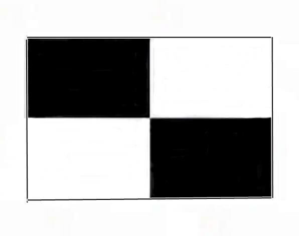 Buket Cankurtaran Bayrağı 70x105 Cm Siyah - Beyaz