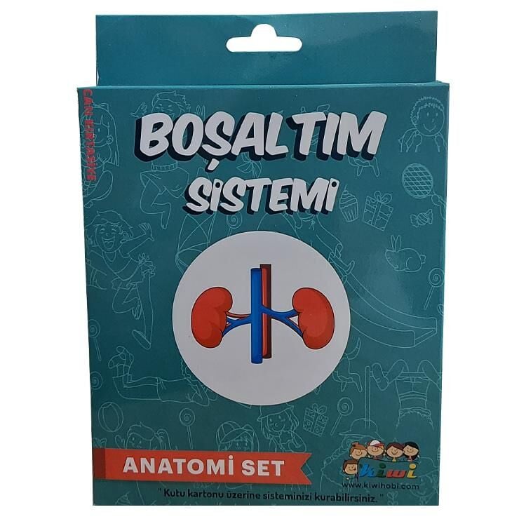 Kiwi Anatomi Set Boşaltım Sistemi Kw518