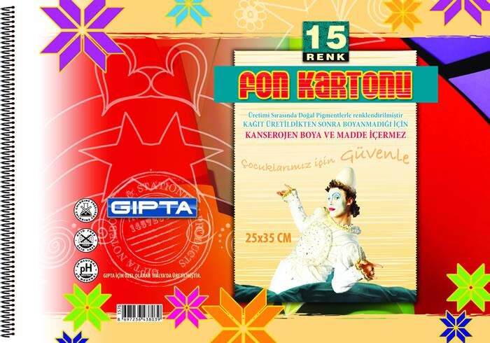 Gıpta Fon Kartonu 25x35 15 Renk Sipr. 3-157600-2011