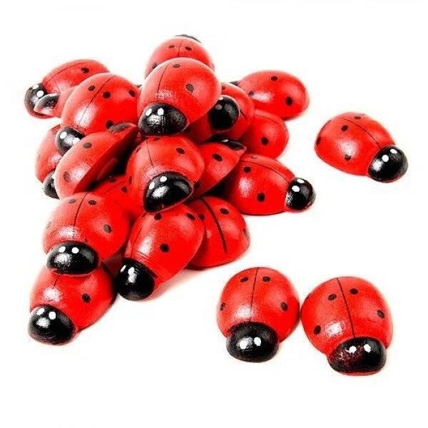 Nedi Uğur Böceği Yapışkanlı 50 Li 18*24 Kırmızı 7013r