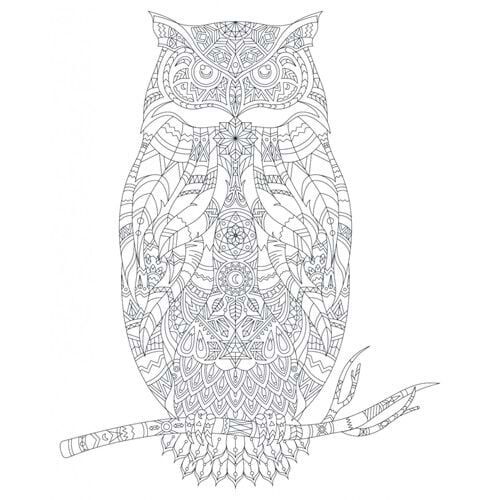 Artdeco Desenli Tuvaller Hayvanlar 40x50 Cm Baykuş Lv-y-100-p40.03