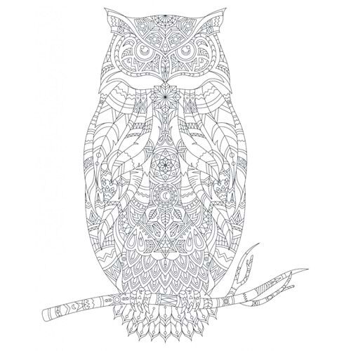 Artdeco Desenli Tuvaller Hayvanlar 40x50 Cm Baykuş Lv-y-100-p40.03