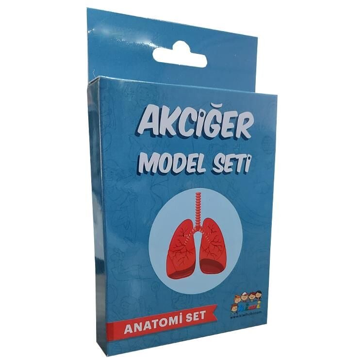 Kiwi Akciğer Deney Model Seti Kw500