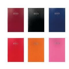 Liz Ajanda Ekonomik Cilt Bezi Çizgili 14x20 Aj902 2025