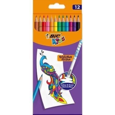 Bic Kuruboya 12'li Silinebilir Karton Kutu 987868