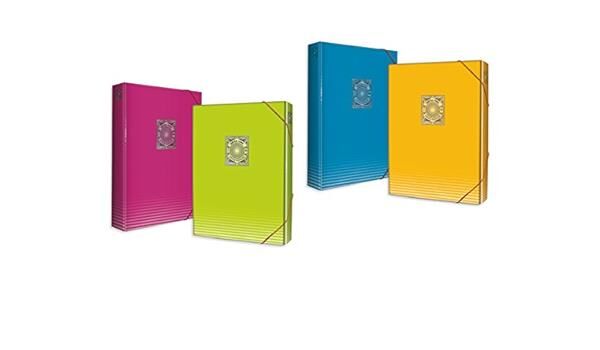 Gıpta Lastikli Kutu Klasör Florasan Renkler 3-2542000-2081