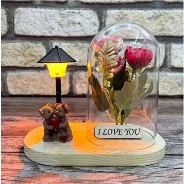 Şekilay Oval Işıklı Fanus Kr9049