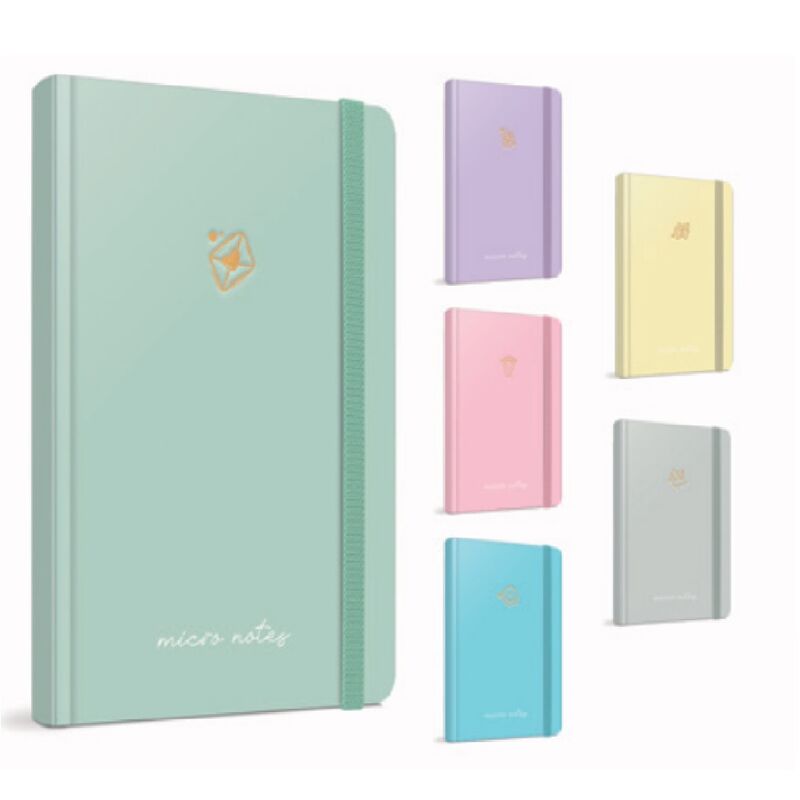 Gıpta Mıcro Notes İpl.dkş.sert Kpk.def. A5 120 Yp. Çiz. 3-5979000-2011