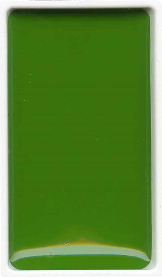 Zıg Suluboya Gansaı Tambı Tablet No:53 Sap Green Mc-21-53