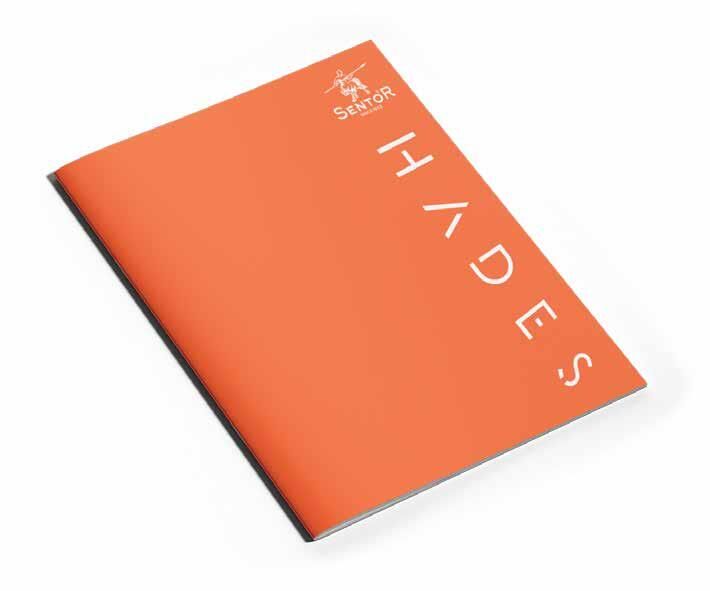 Sentor Defter A5 80 Yp. Çizgili P.p Kapak Hades Tel Dikiş 1251378