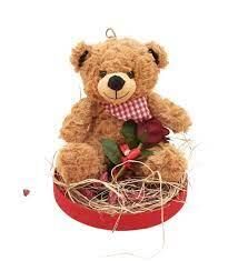 Şekilay Lovely Bear Kutulu Ayıcık Işıklı 19087