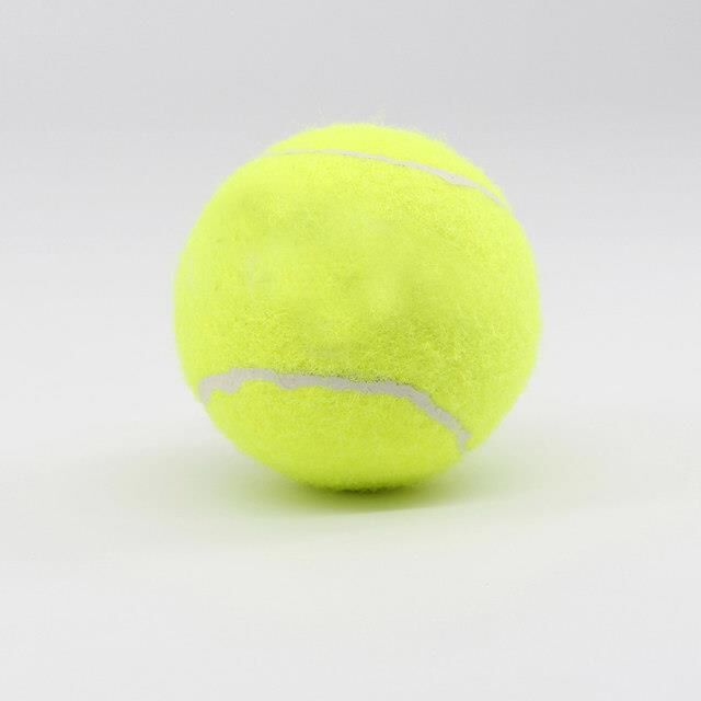 Avessa Köpek Topu Welkin Turuncu