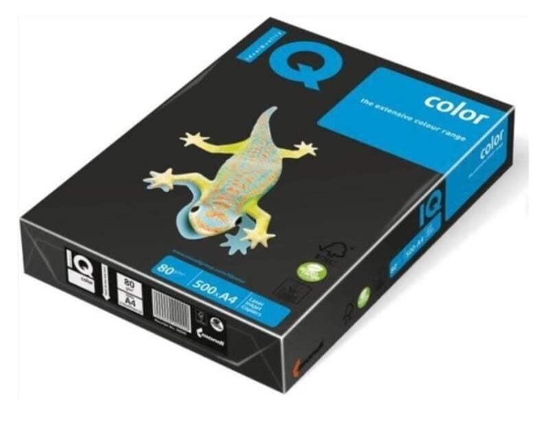 Iq Color Renkli Kağıt A4 80 G/m² Siyah Ne1341-b100