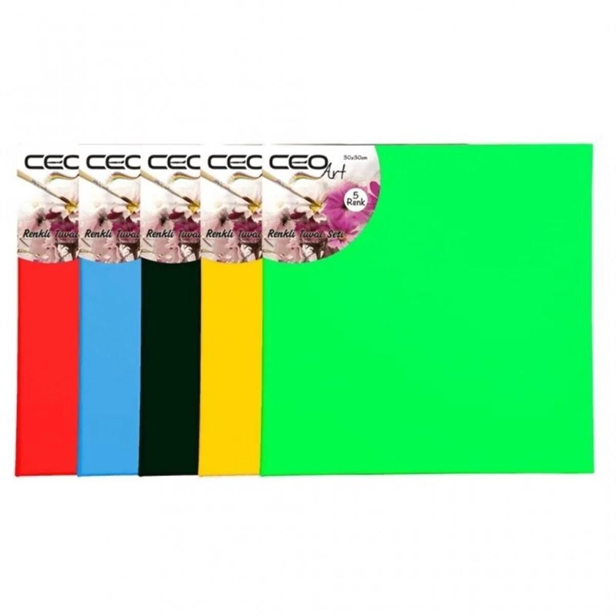 Ceo Art 40x40 Renkli Tuval Renkli Tu0008