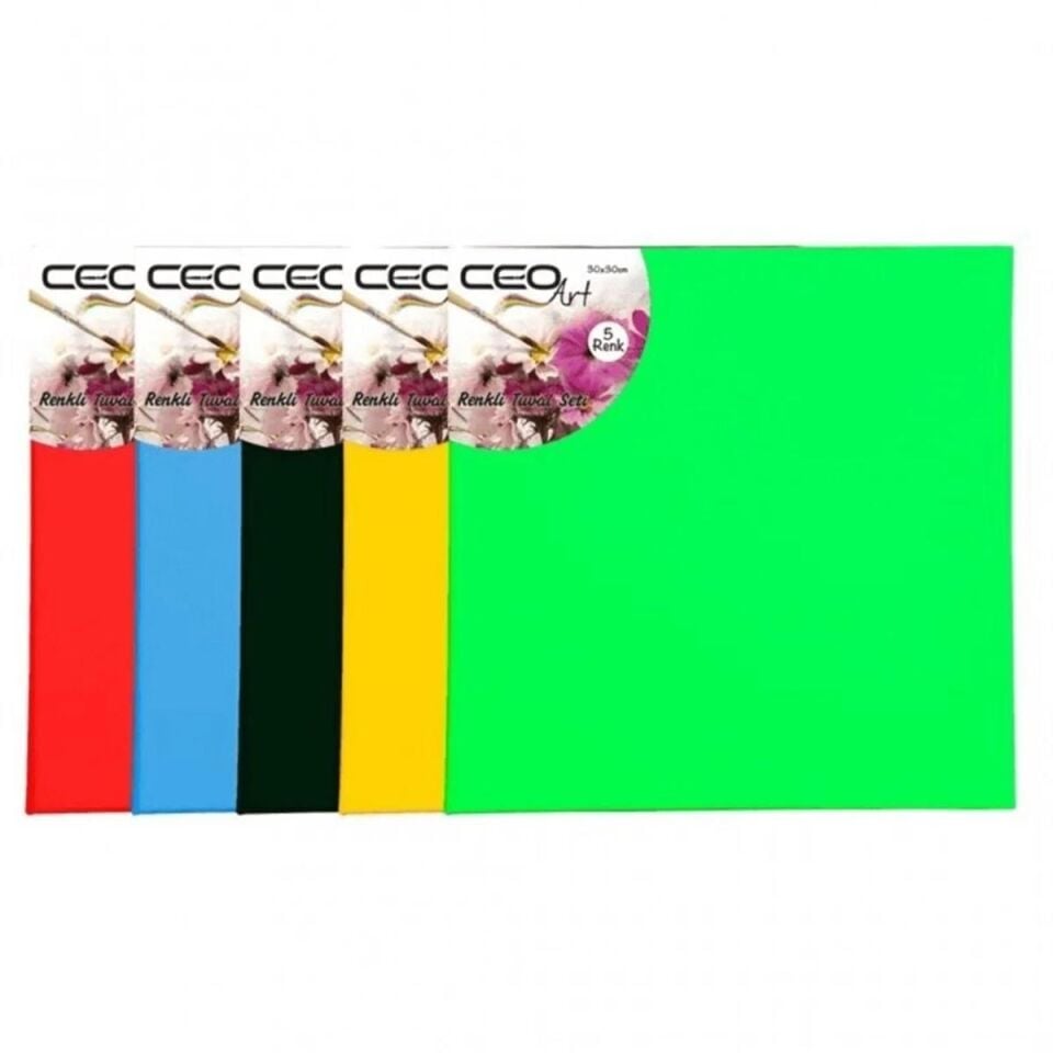 Ceo Art 40x40 Renkli Tuval Renkli Tu0008