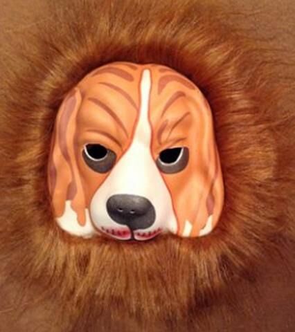 Dolphın Maske Çeşitleri Havyan Şekilli 2309