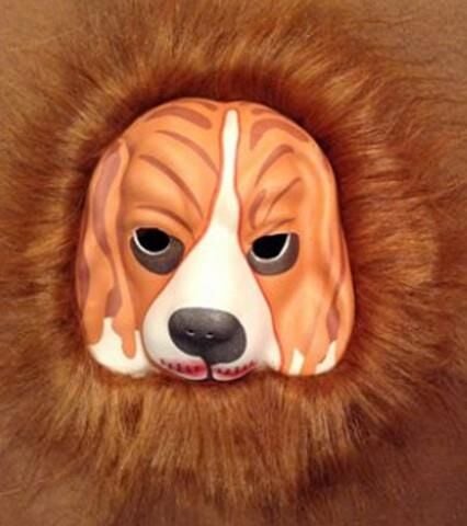 Dolphın Maske Çeşitleri Havyan Şekilli 2309