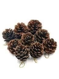 Nedi Fiesta Naturel Kozolak 9'lu Simli Fp-40168